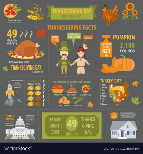 Thanksgiving day interesting facts in infographic Vector Image