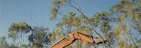 Land Clearing & Koalas - Australian Koala Foundation