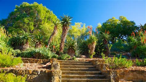 Kings Park and Botanic Garden - Perth, Western Australia Attraction | Expedia.com.au