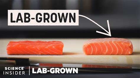 Could Lab-Grown Salmon Be The Future Of Fish? | Lab-Grown | Science Insider - YouTube