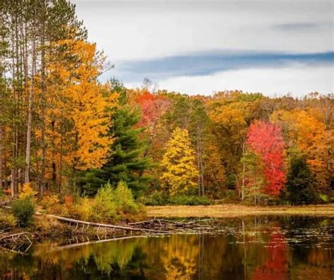 12 Great Spots to Enjoy New Jersey Fall Foliage in 2023