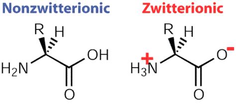 Zwitterion - Alchetron, The Free Social Encyclopedia