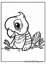 Coloring Birds Pages Welcome To Dover Publications 6 bird colouring  sketch template