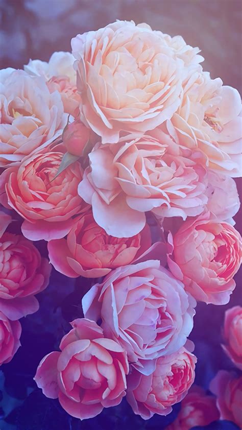 Rose Gold Aesthetic Flower Wallpaper