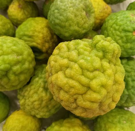 Preserving Kaffir Limes | Rediscover