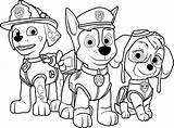 Paw Patrol Printables Coloring Pages sketch template