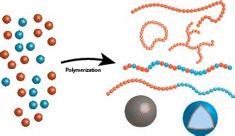 Polymer synthesis and purification - LCPO - Organic Polymer Chemistry Laboratory