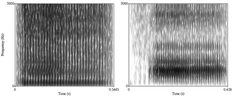 Spectrograms of the glottal source signal (left) and of one of AnTon's ...