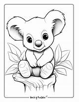 Koala Coloring Pages For Kids & Adults  World Of Printables sketch template