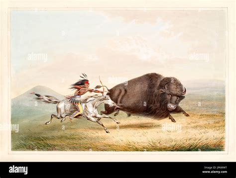 Native american indian hunting buffalo hi-res stock photography and images - Alamy