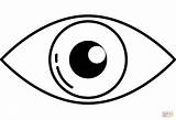 Eye coloring page  Free Printable Coloring Pages Healthy Habits sketch template