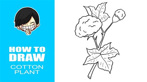 How to draw Cotton Plant - YouTube