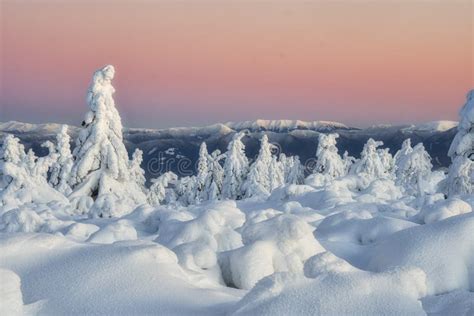 Golden Hour from Vidlica Peak in Mala Fatra during Winter Stock Photo - Image of winter, vidlica ...