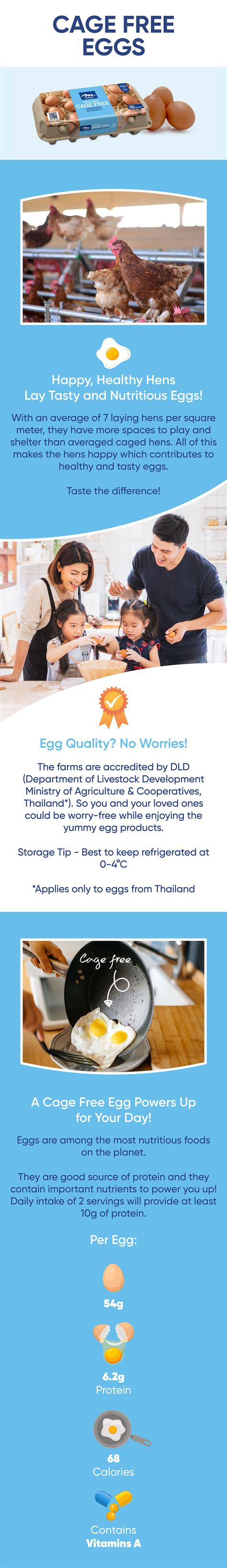 Cage Free Eggs | Meadows