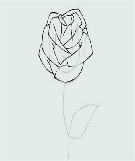 How To Draw Flowers Step by Step for Android - Download