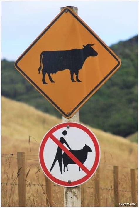 Colours of Life...: Funny Animals Signs At Various Places