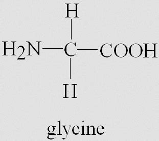 Research Backs the Health Benefits of L-GlycineHGH facts and review of Anti Aging Health Supplements