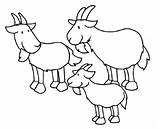 3 Billy Goats Gruff Coloring Pages Sketch Page sketch template
