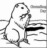 Groundhog Coloring Page At GetDrawings  Free Download sketch template