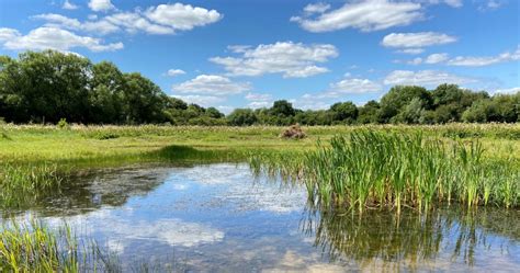 PONDERFUL - Freshwater Habitats TrustFreshwater Habitats Trust