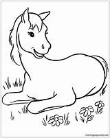 Cute Cartoon Horse Coloring Pages sketch template