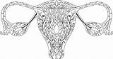 770  Flower Uterus Stock Illustrations Royalty Free Vector Graphics sketch template