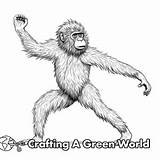 Baboon Coloring Pages  Free & Printable sketch template
