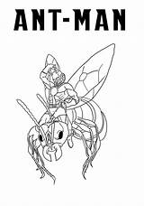 Ant Man Coloring Pages  Best For Kids sketch template