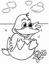 Coloring Pages Printable Animals sketch template