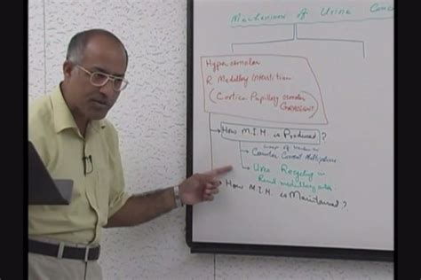 Dr. Najeeb video lectures help understand USMLE Step 1, with limitations