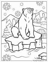 Free Printable Polar Bear Coloring Pages For Kids sketch template