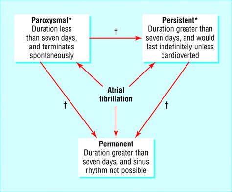 Atrial Fibrillation Litfl Life In The Fast Lane Medical