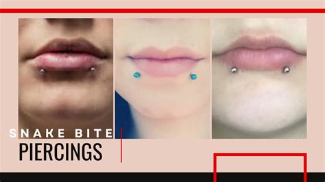 Snake Bite Lip Piercing: Expert Guide