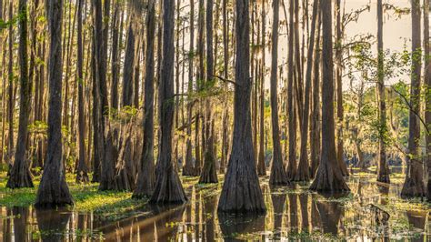 Texas State Parks | Our Texas Our Future