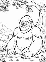 20  Free Printable Gorilla Coloring Pages For Kids sketch template
