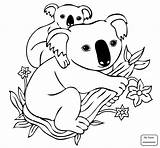 Koala Drawing Step By At GetDrawings  Free Download sketch template