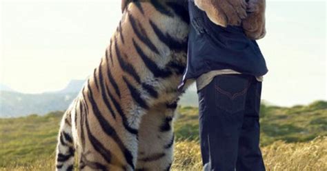 Friendly and Love between human and animal, Tiger Hug #love | Big Cats | Pinterest | The two ...