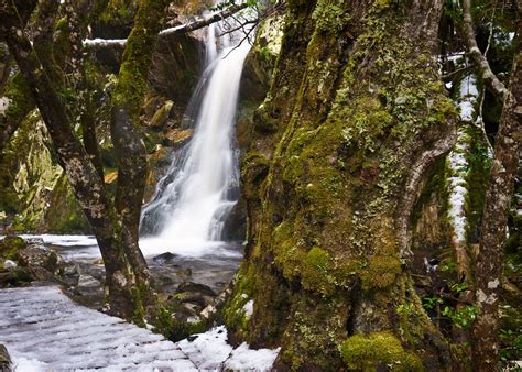 Cradle Mountain National Park - Crater Lake Walk | Cradle Mo… | Flickr