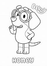 Bluey Bandit Desenhos Colorir Bajka Kolorowanki Cartonionline Stampare  sketch template