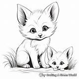 Baby Fox Coloring Pages  Free & Printable sketch template