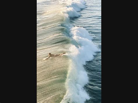 Surfer At Pacific Beach: Photo Of The Day | San Diego, CA Patch