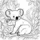 Koalas coloring Pages – Artofit sketch template