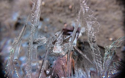 Premium Photo | Ice crystals in the water are frozen