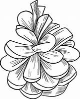 Pine Cone coloring Page  Free Printable Coloring Pages sketch template