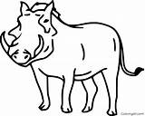 Warthog Coloring Pages  Home sketch template
