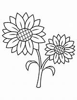 Big Sunflower Coloring Page Pages sketch template