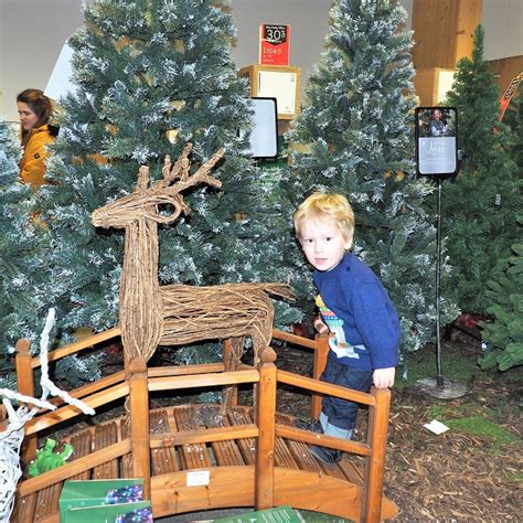 #MagicOfChristmas at Dobbies Christmas Grotto - The Frenchie Mummy