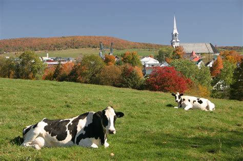 Chesterville | Victoriaville, Les plus belles villes, Québec