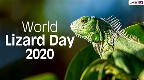 World Lizard Day 2020 Facts: Did You Know Caiman Lizards Have Third ...