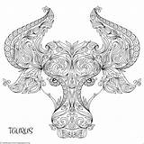 Taurus Coloring Pages  Home sketch template
